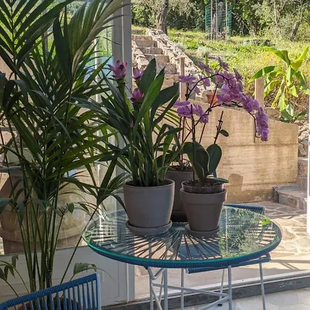 Sarita Oda ve Kahvaltı